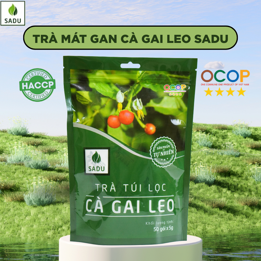 Trà Cà Gai Leo Sadu