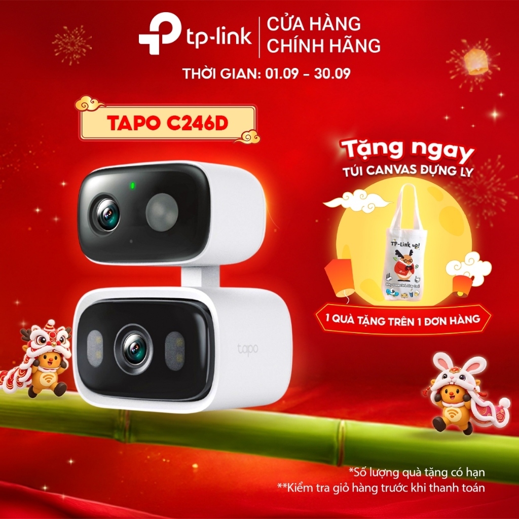 TP-Link Tapo C246D