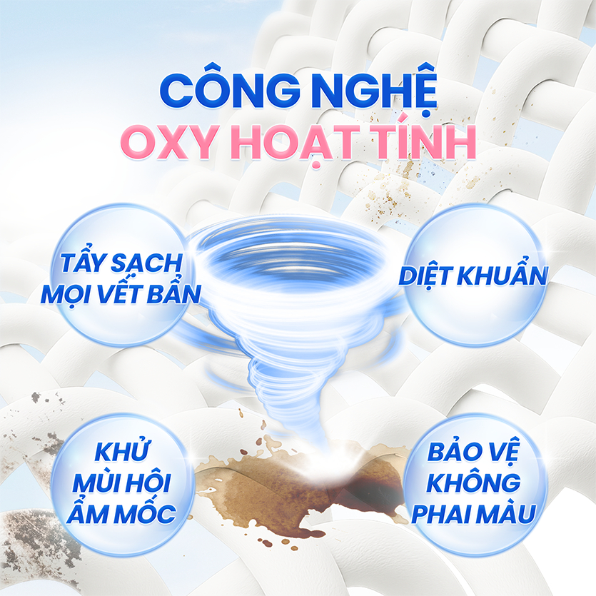 Bộ Tẩy Mốc SAIZA
