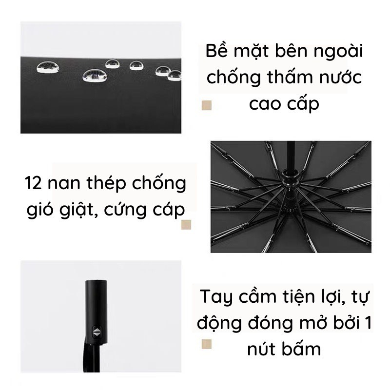 Ô Dù TA Store