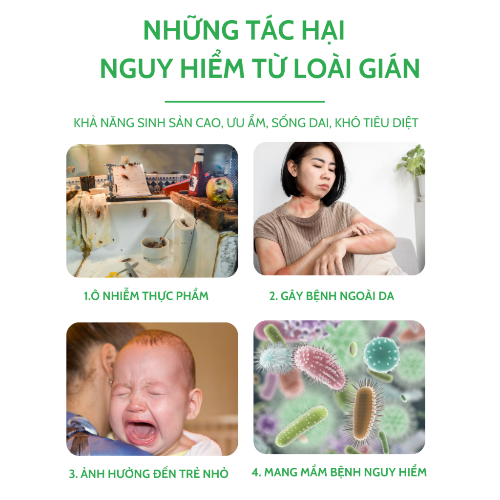 Viên diệt gián AMB