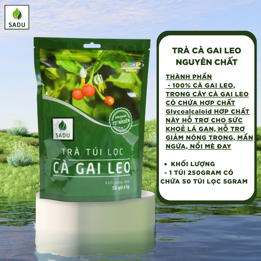 Trà Cà Gai Leo Sadu