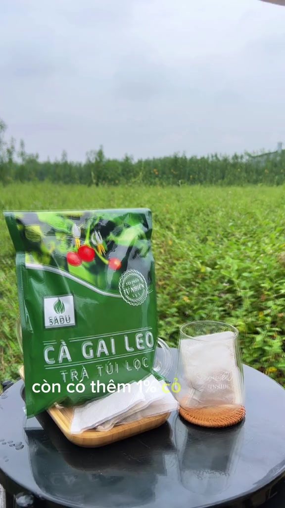Trà Cà Gai Leo Sadu