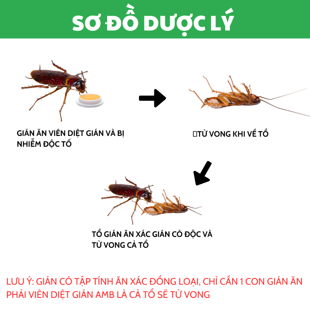 Viên diệt gián AMB