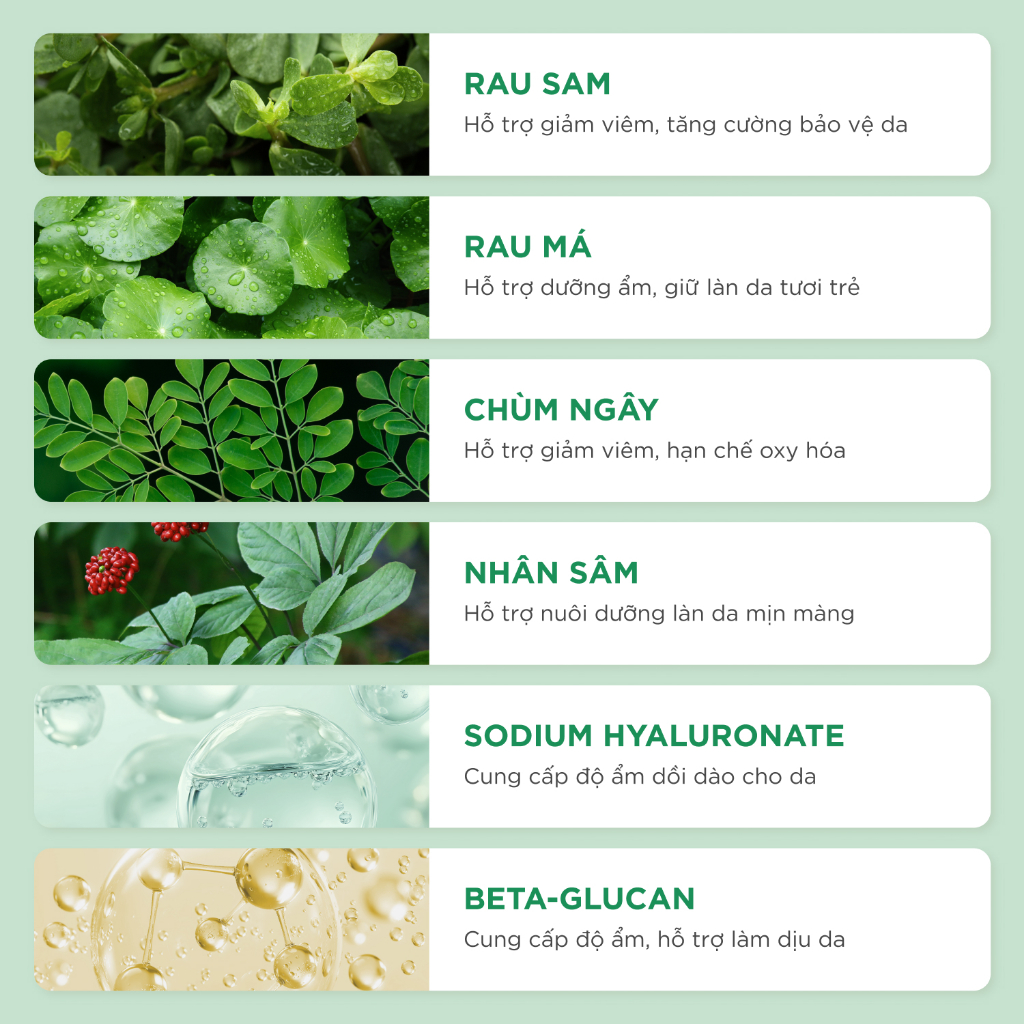 Caryophy Portulaca Toner