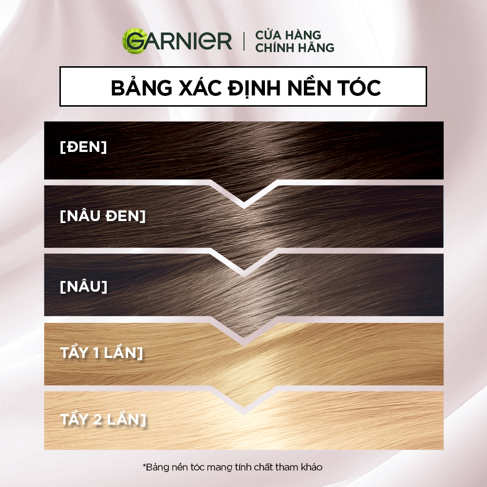 Garnier Color Naturals