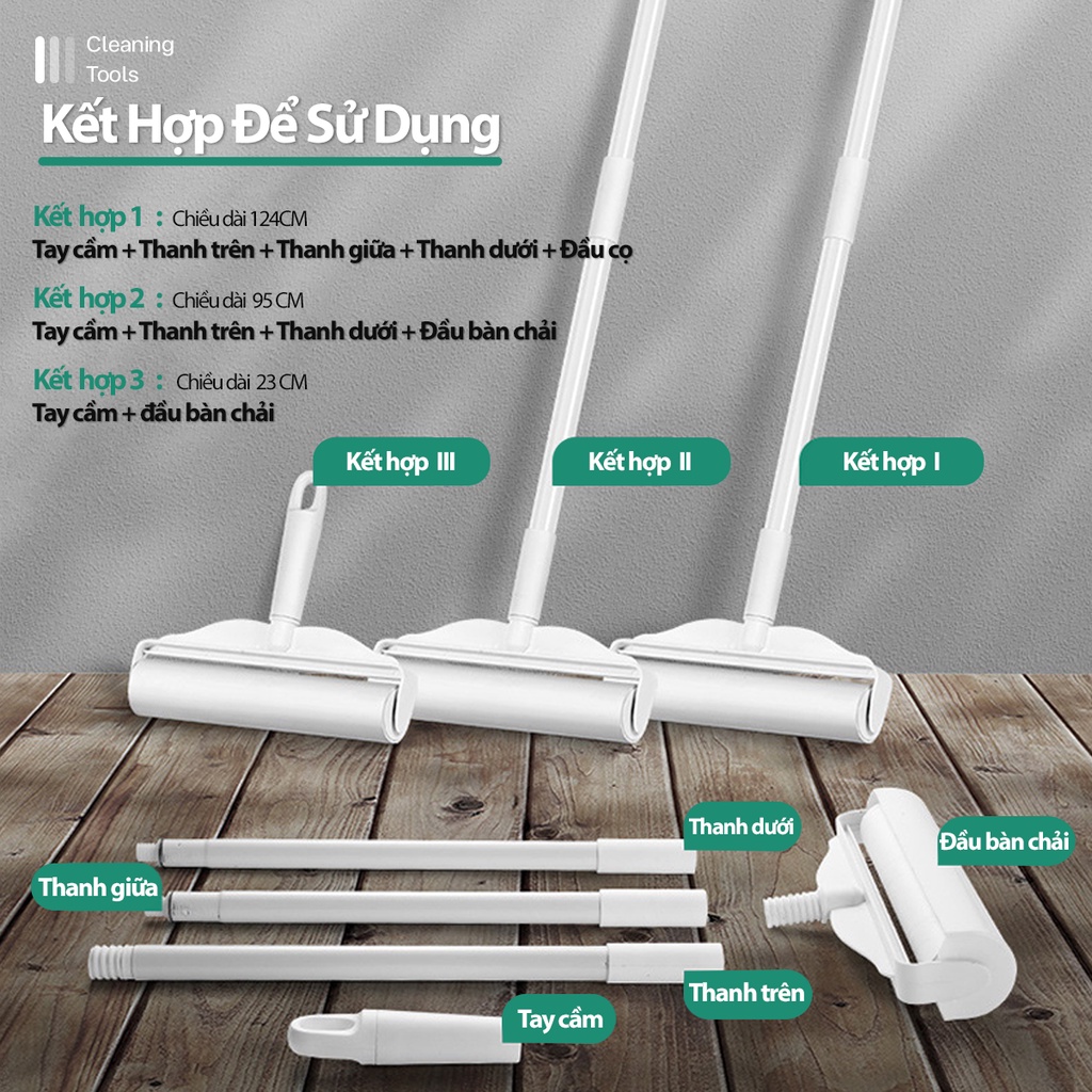Cây Lăn Bụi HAIBEI