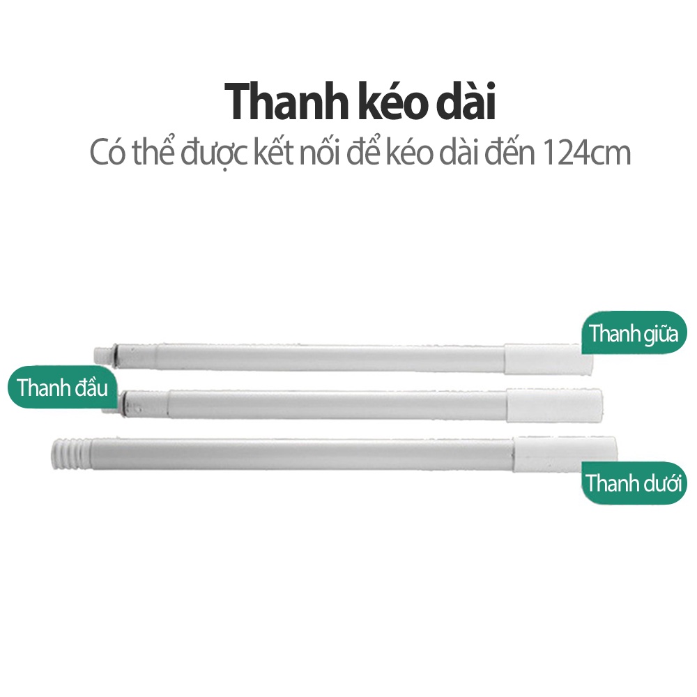 Cây Lăn Bụi HAIBEI