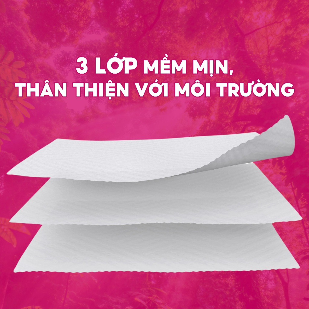 Combo Giấy Vệ Sinh Posy