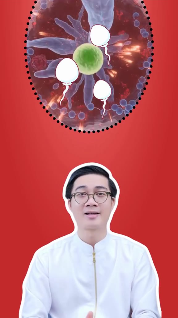 Andrositol Plus (combo 2 hộp)