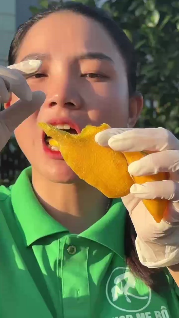 Xoài Sấy Dẻo Mẹ Rô