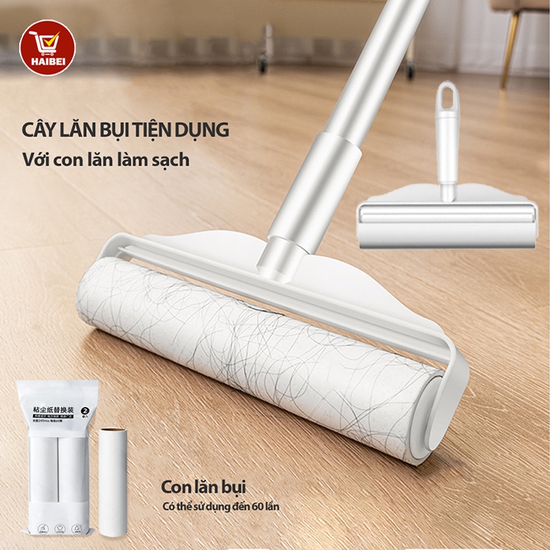 Cây Lăn Bụi HAIBEI